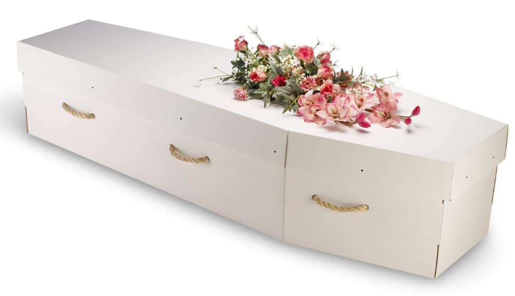 cardboard bio-degradable coffin