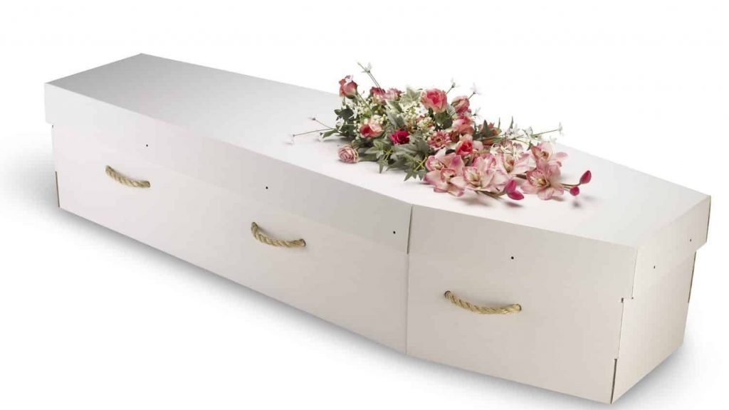 cardboard coffin with handles