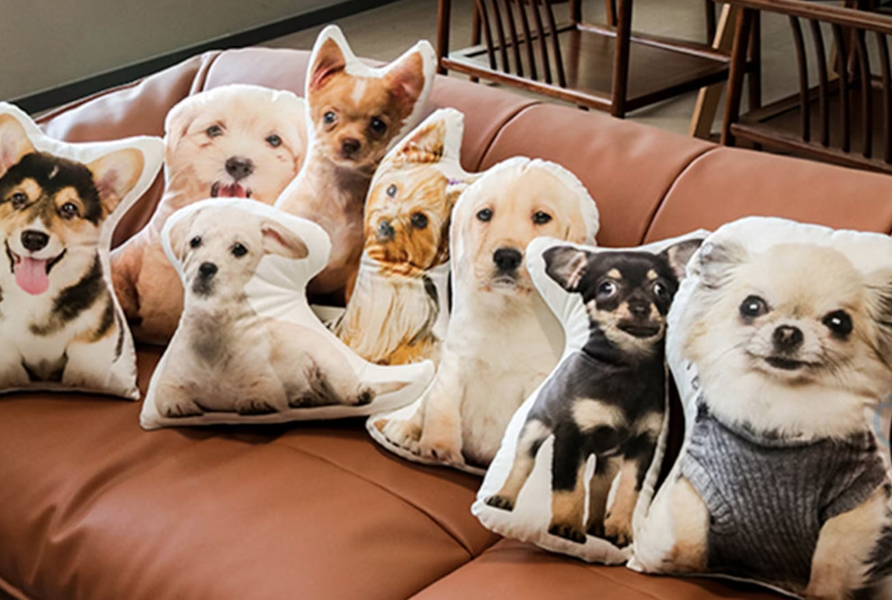 21 Ideas What To Get Someone Whose Dog Died [2024]