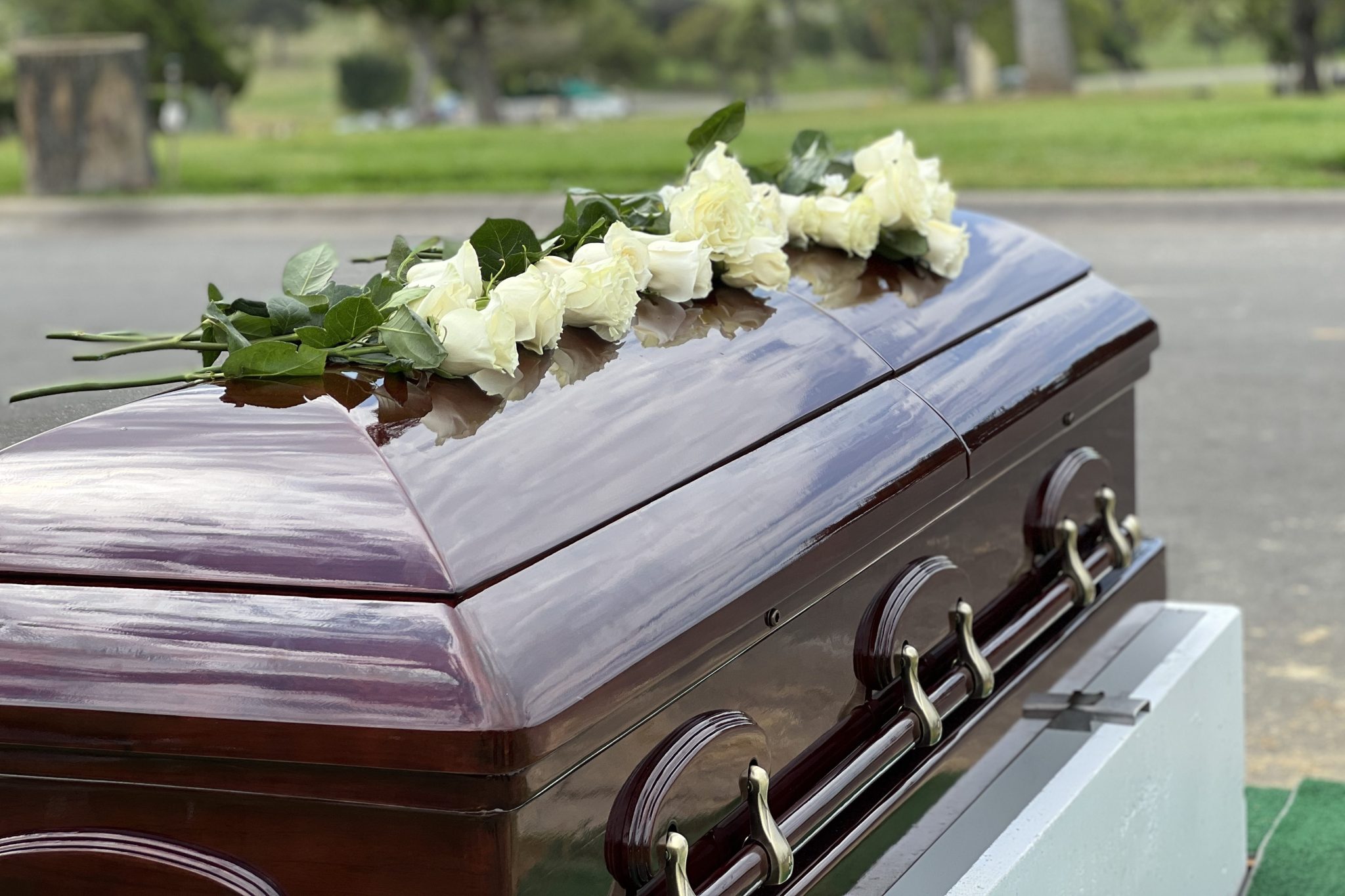 Rental Caskets All You Need To Know [2024]